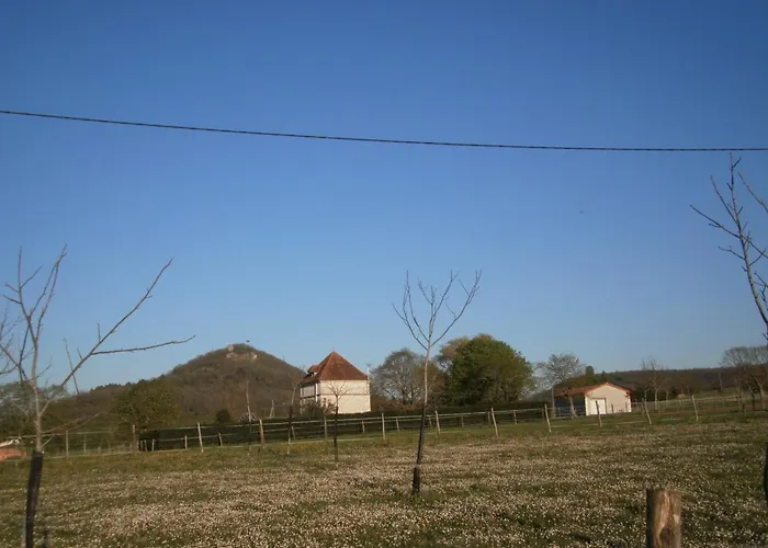 Norpech