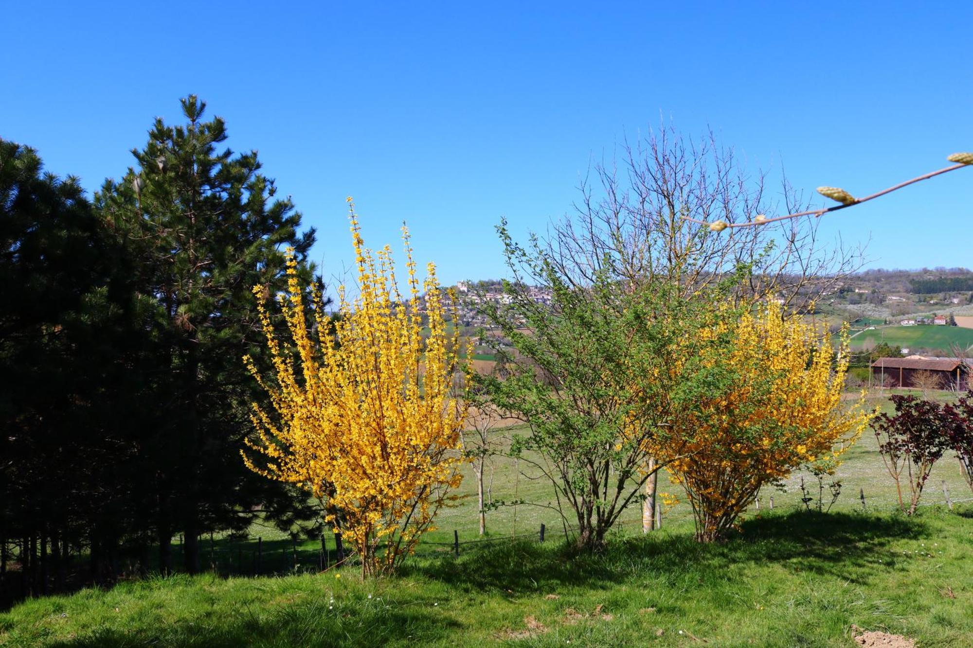 Norpech Holiday home Penne-d'Agenais