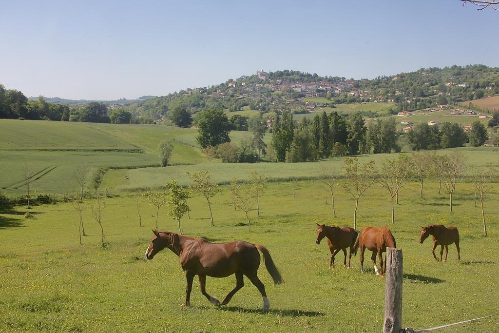 Norpech