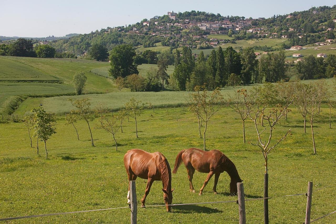 Norpech Holiday home *